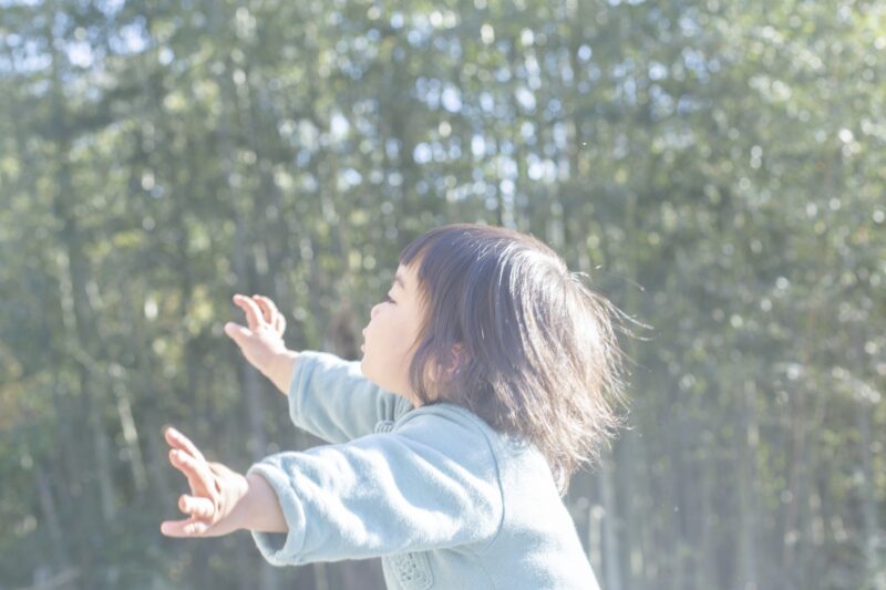 Japan House São Paulo prorroga exposição “A vida que se revela”