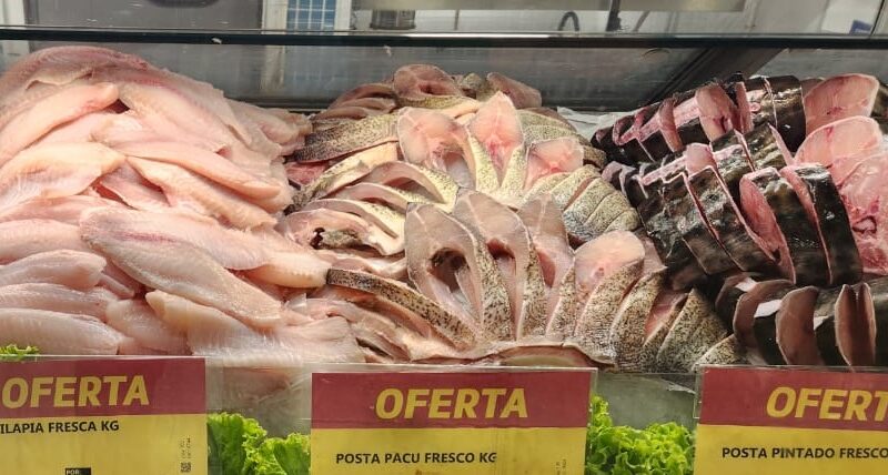 Sexta do Peixe: Mais qualidade e economia na rotina dos consumidores