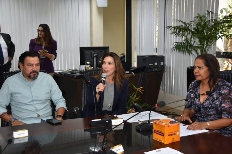 Realizadores e parceiros do Ação Cidadania #Todos Por Elas fazem reunião de alinhamento