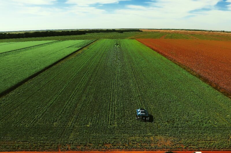 No dia do agricultor, celebramos quem cultiva o futuro do Brasil (e do mundo)