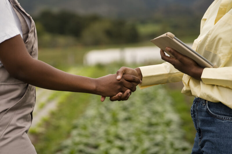 Digitalização do crédito rural acelera o acesso ao financiamento e amplia a inclusão no agronegócio