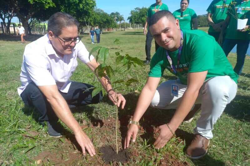 Grupo Pereira, dono do Comper e do Fort Atacadista, celebra marco ambiental com 100 mil mudas doadas para novos colaboradores