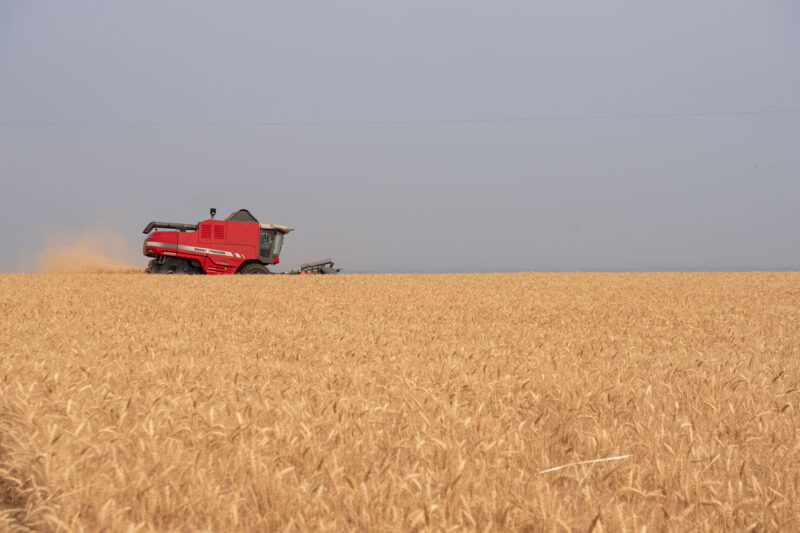 FIDCs ganham protagonismo com nova taxação sobre produtos agrícolas importados