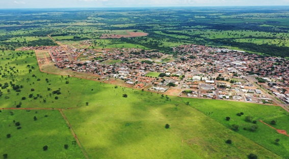 Arauco partilha sua história e visão estratégica no Show Florestal 2025