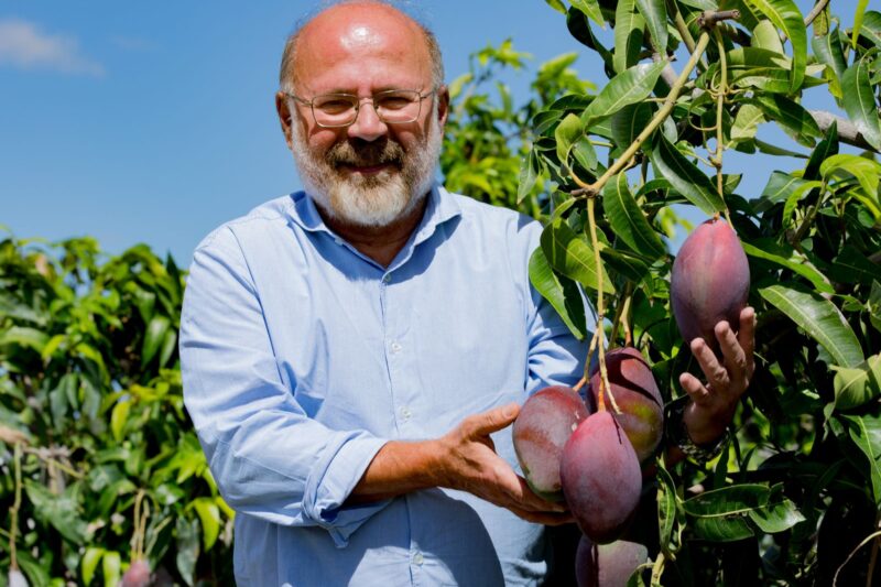Adoção de tecnologia impulsiona o Brasil como destaque mundial na produção de frutas