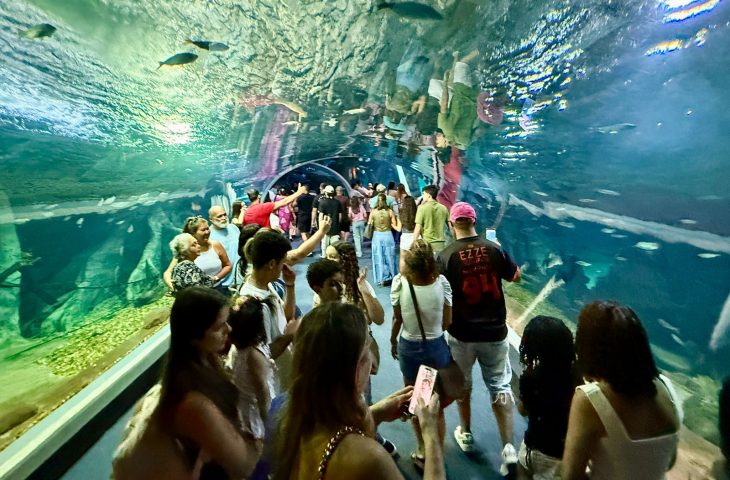 Bioparque Pantanal bate recorde de visitantes e consolida Campo Grande como novo destino turístico nacional