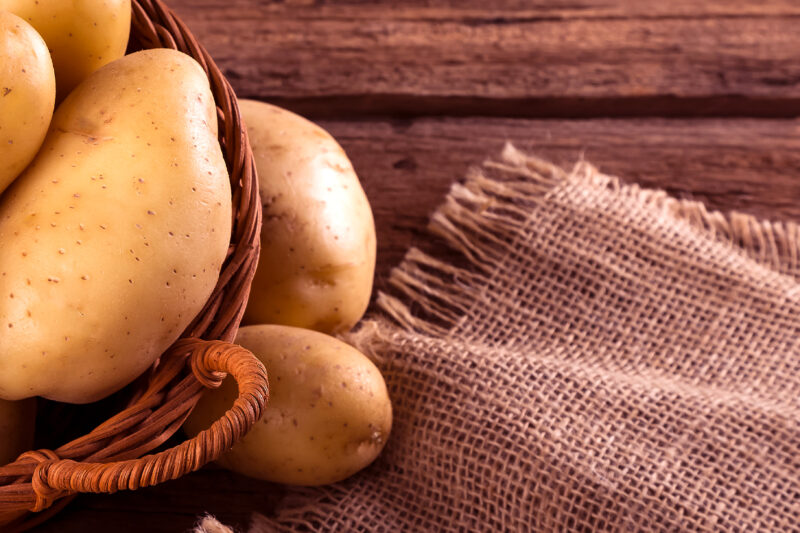 Rizoctoniose pode causar perdas de até 30% na produtividade da batata no Brasil