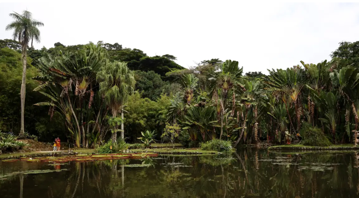 Concurso de Fotografia integra programação do Dia Mundial da Limpeza