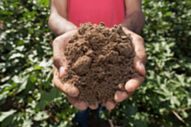 A busca pela estabilidade climática começa no solo