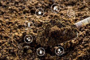 Diagnóstico de solo é o primeiro passo para proteger lavouras e garantir produtividade