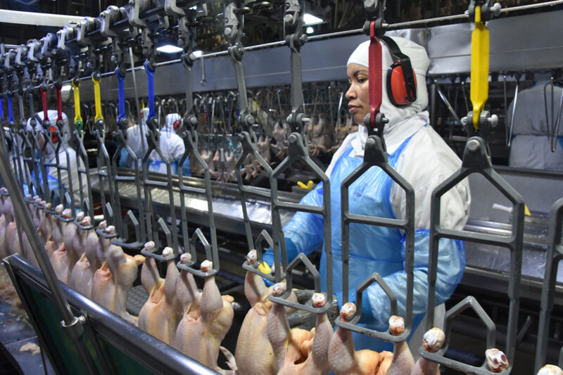 Receita com exportação de produtos industriais de MS registrou US$ 667,7 milhões em agosto