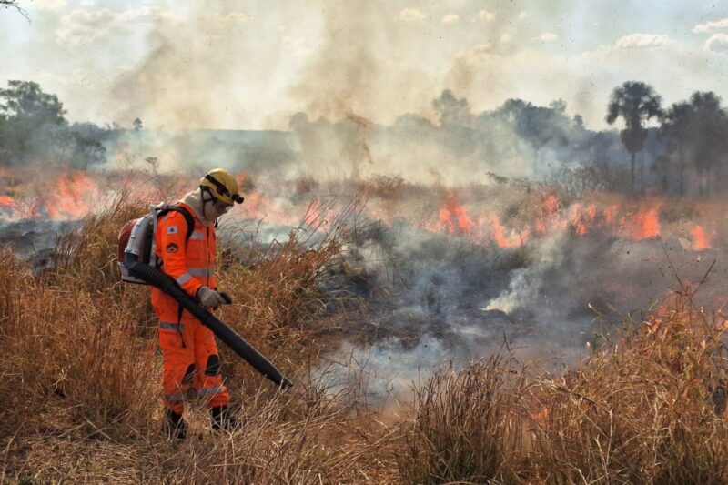Minas Gerais registra histórico de 10 milhões de hectares queimados em 40 anos e enfrenta crise ambiental crescente