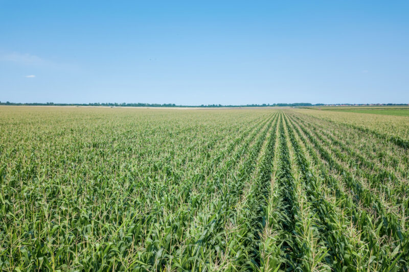 Área tratada com defensivos agrícolas no Brasil deve encerrar 2025 com crescimento de 3,4%