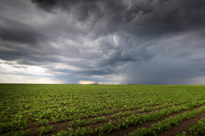 La Niña pode alterar clima e produção agrícola no Brasil e no mundo