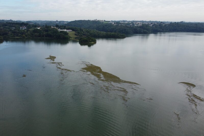 ICMS Ecológico destinou mais de R$ 20 milhões ao litoral do Paraná em 2025