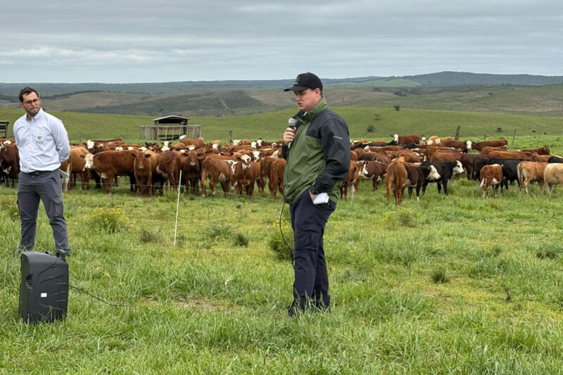 Vetoquinol promove uso consciente de tecnologias e destaca a importância do planejamento sanitário com a Rota 360