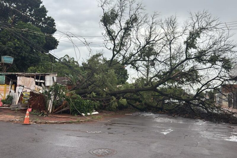 Energisa mantém plano de contingência ativo diante de nova previsão de temporais em Mato Grosso do Sul