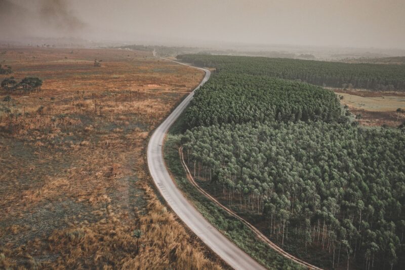 Credibilidade climática do Brasil desmorona ao autorizar exploração de Petróleo na Amazônia