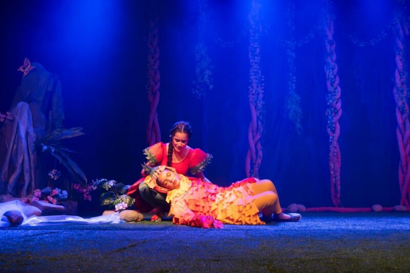 CRAS Hércules Mandetta recebe nesta sexta-feira, 14, espetáculo gratuito “No Vale dos Sentimentos Perdidos”