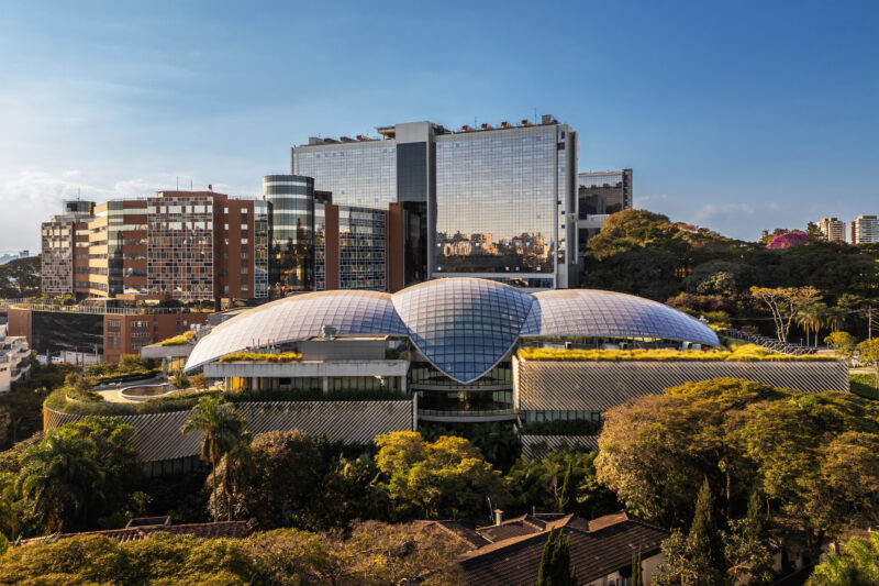 Einstein firma aliança inédita com rede global para ampliar acesso a terapias celulares na América Latina