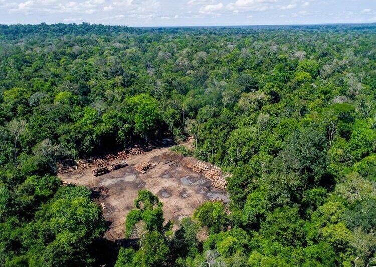 Desmatamento da Amazônia pode acelerar aquecimento global e gerar um ponto de não-retorno climático, alerta Climatempo