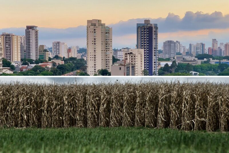 Capital paulista vira rota de investimento para gigantes do agronegócio