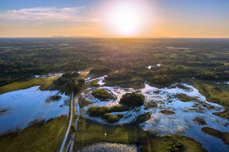 Pantanal entra no Top 5 mundial da natureza e impulsiona turismo internacional do Brasil em 2025