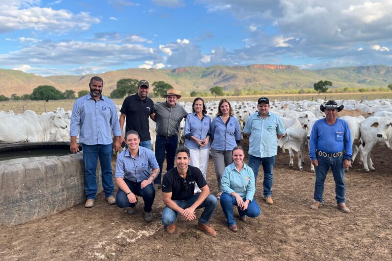 Friboi amplia programa que incentiva boas práticas e bem-estar animal na pecuária de corte
