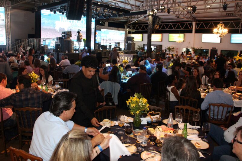 Maiores compradores e vendedores de bovinos de 2025 em leilões são premiados