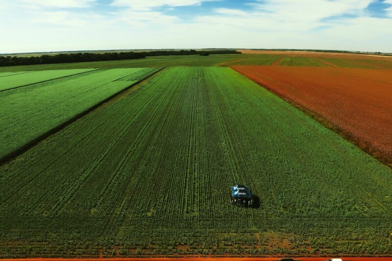 Brasil fecha 2025 com a maior safra da história e lições de resiliência no campo