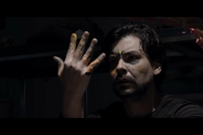 Mostra Cinema de Sala leva produções de MS às ruas do Pantanal e da fronteira em 2026