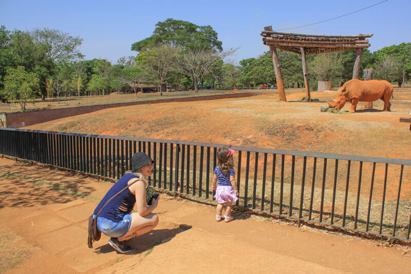 DF tem fim de semana com aniversário do Zoológico, agenda cultural cheia e transporte gratuito no domingo