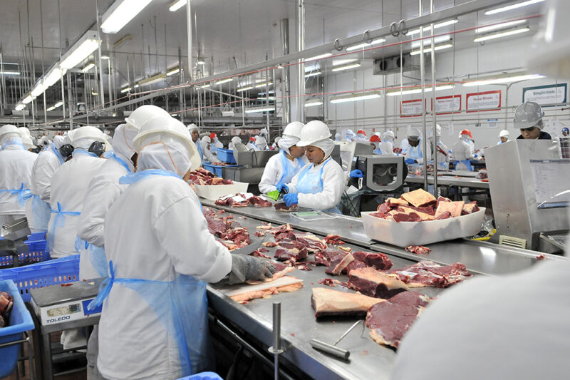 Indústria de MS bate recorde e cria 14 mil empregos entre janeiro e outubro de 2025