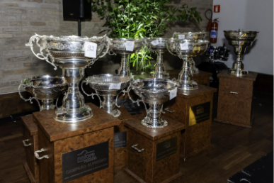 Nelore Fest 2025 reúne a elite da pecuária e entrega o “Oscar da Raça” em São Paulo