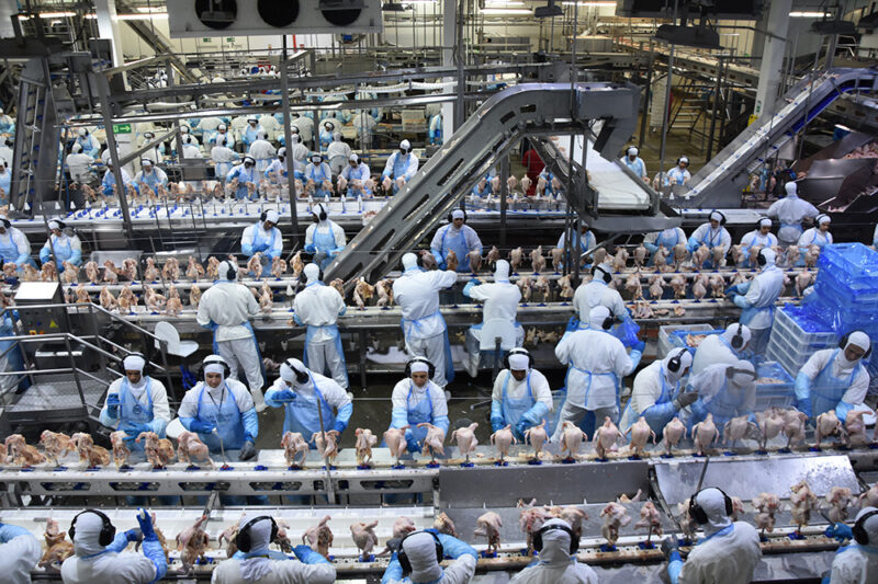 Exportações industriais de MS batem recorde em novembro e somam US$ 592,9 milhões