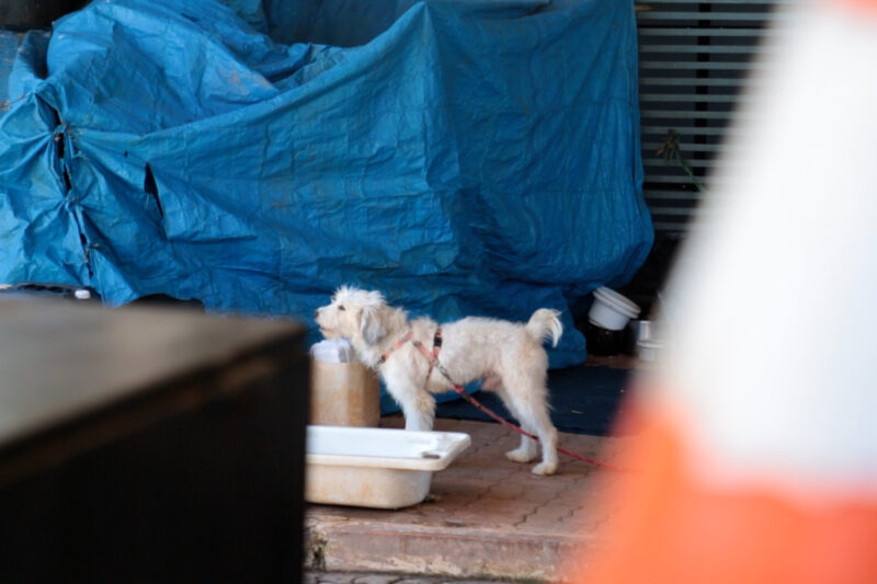 GDF promove ação de acolhimento para população em situação de rua no Núcleo Bandeirante nesta sexta (9)