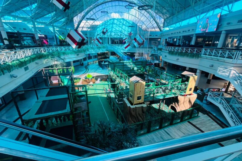 Aventuras no Safari estreia no Shopping Campo Grande e abre programação especial de férias