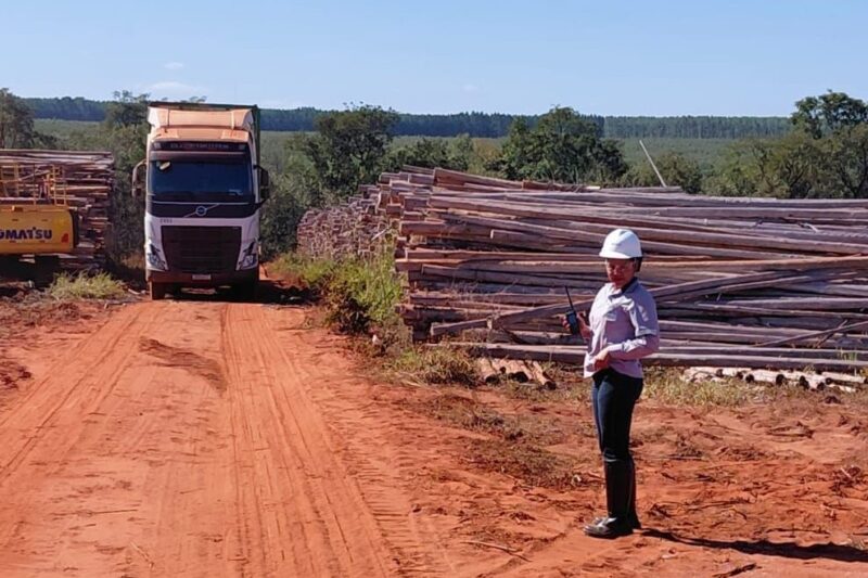 Com 42 mulheres formadas, Suzano impulsiona a equidade de gênero no transporte florestal em Mato Grosso do Sul