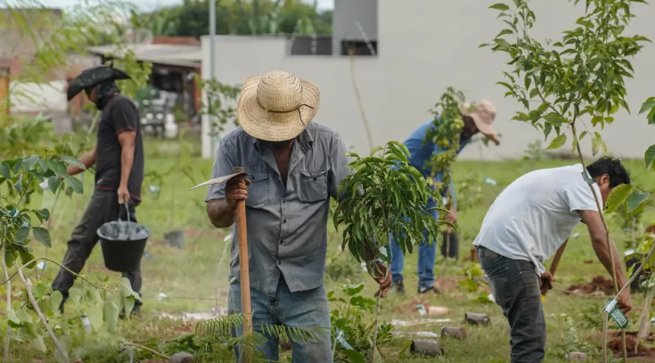 Banco do Brasil vai neutralizar emissões de carbono geradas pela COP15 em Campo Grande
