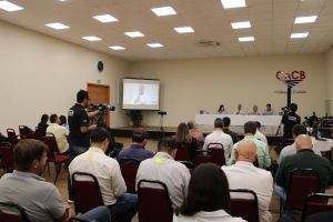 Safra de trigo deve perder área em São Paulo em 2026 diante de preços baixos e custos elevados