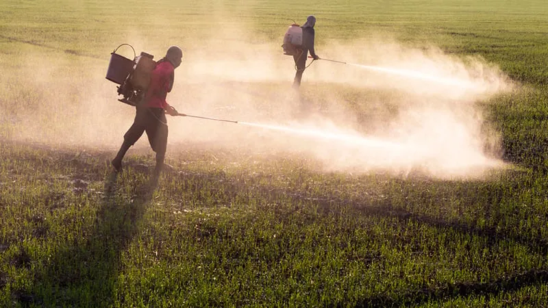 MPT-MS notifica municípios para ampliar registros de intoxicação por agrotóxicos