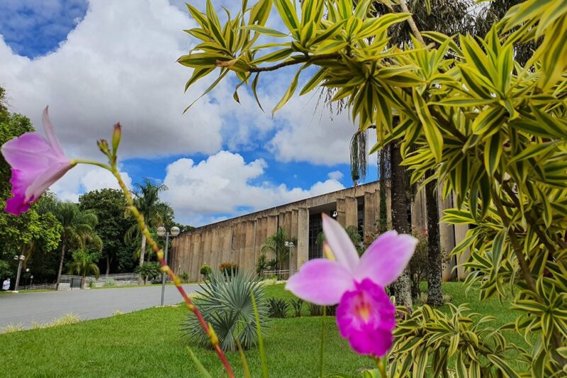 Sessões, CCJR e palestra sobre autismo movimentam a semana na ALEMS