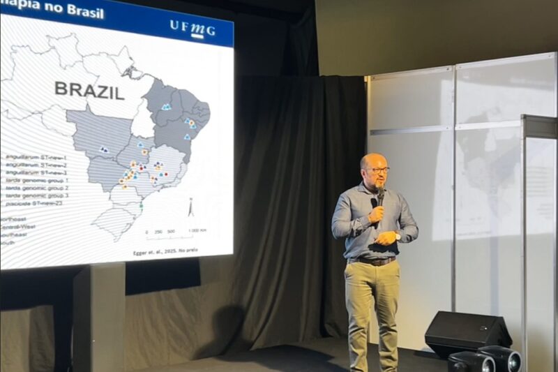 Aquishow Brasil 2026 terá curso sobre doenças na tilapicultura e desafios sanitários do setor