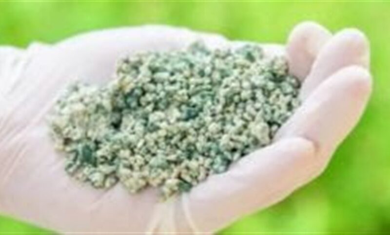 Mercado de bioinsumos cresce 21% ao ano no Brasil e já movimenta R$ 5 bilhões no agronegócio