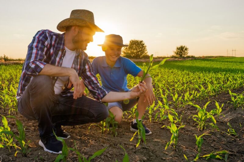 Venda direta fortalece agricultura familiar e ajuda a reduzir desperdício de alimentos no Brasil