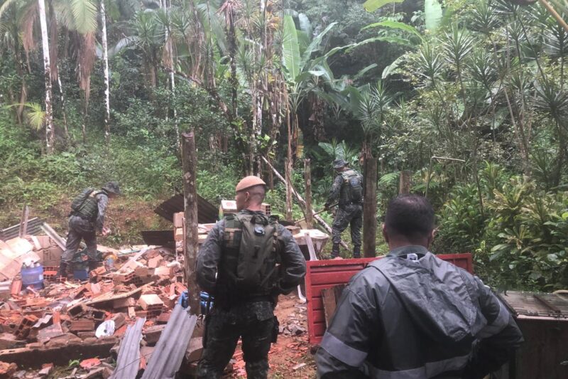 Operação no litoral de SP desmonta estruturas de caça ilegal, apreende armas e prende foragido da Justiça