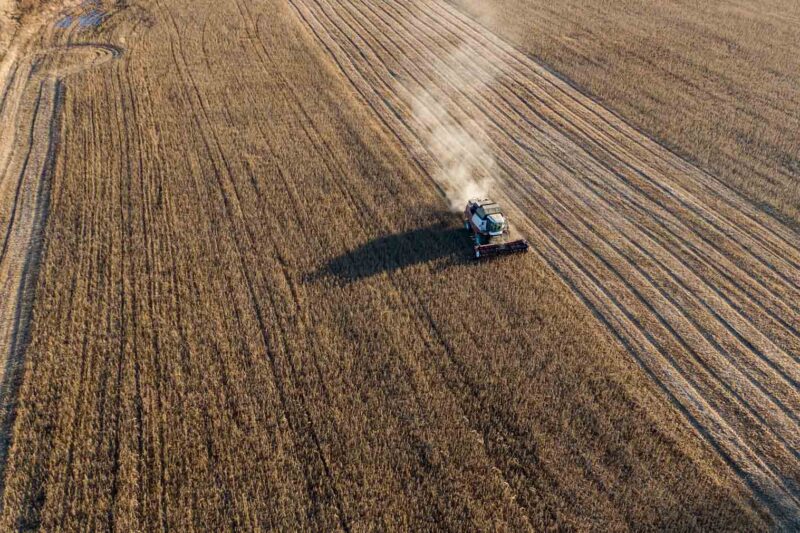 Pós-colheita vira etapa decisiva para produtores planejarem próxima safra e evitarem prejuízos