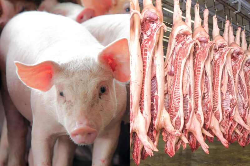 Carne suína dispara 25,6% e lidera alta de preços no Centro-Oeste em maio, aponta levantamento