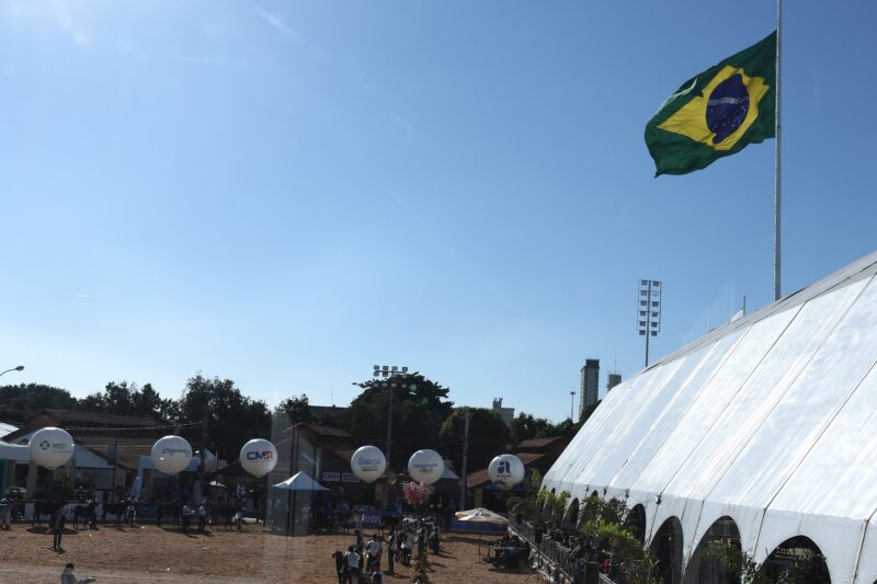 Megaleite 2026 bate recordes, movimenta R$ 400 milhões e reúne visitantes de nove países em Belo Horizonte