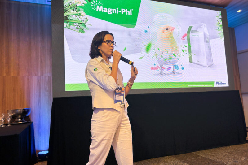 Saúde intestinal ganha protagonismo na produção de ovos e impulsiona produtividade nas granjas